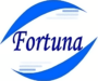 FORTUNA PROPERTY MANAGEMENT S.R.L.